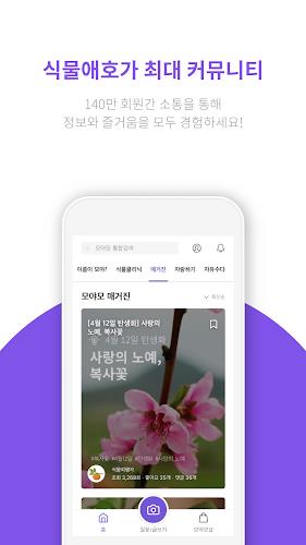 모야모 스크린샷 2