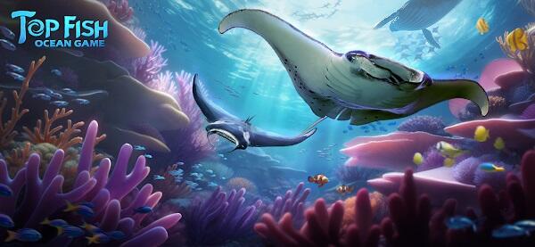 Top Fish: Ocean Game ภาพหน้าจอ 0