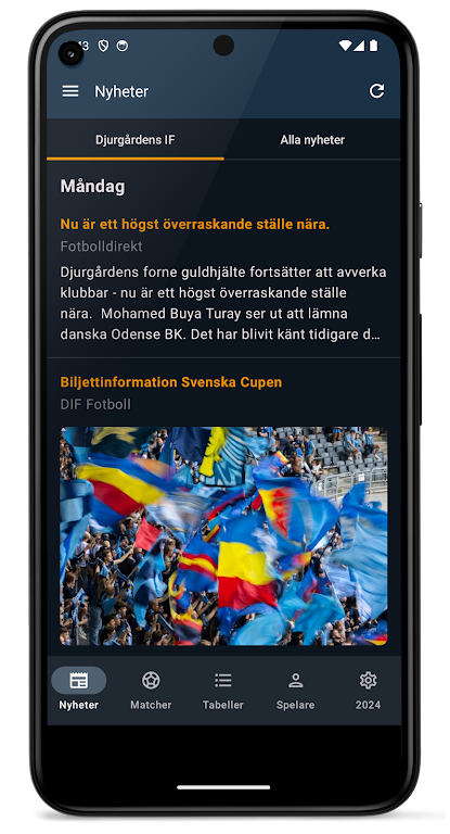 Allsvenskan 2024 Ekran Görüntüsü 0