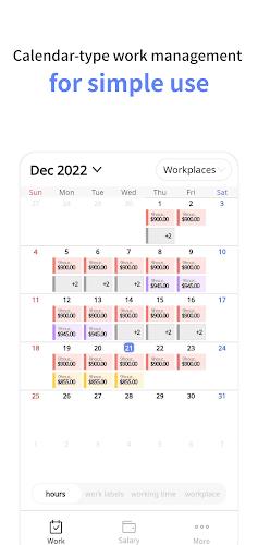 Gig-work schedule,wage manager Screenshot 0