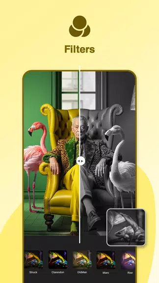 Photo Collage Maker : Gallery ภาพหน้าจอ 1