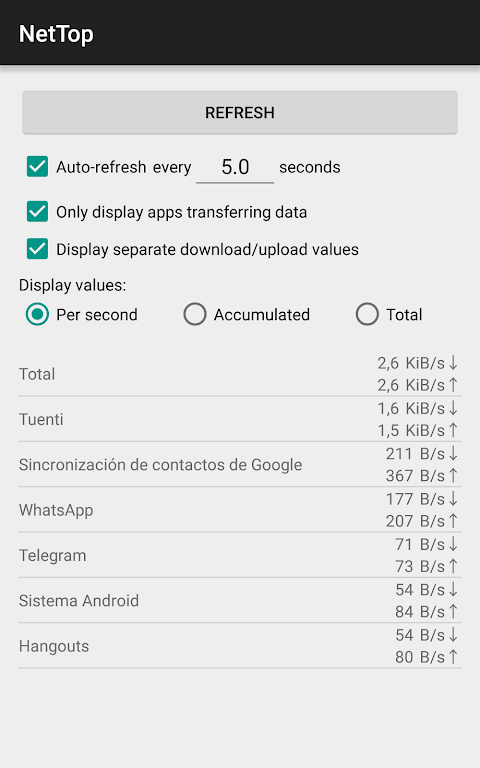 Schermata NetTop: RealTime Network Meter 1