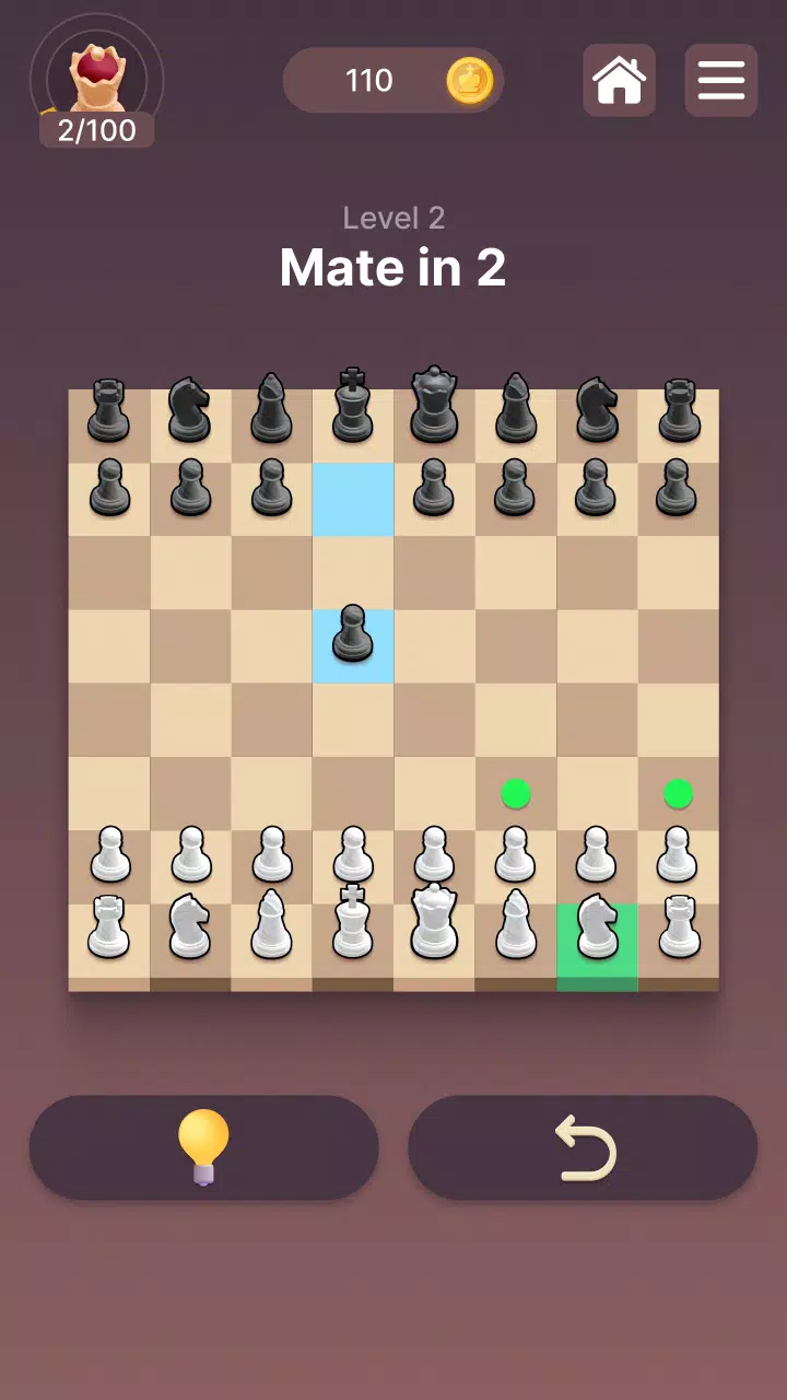 Chesscapes: Daily Chess Puzzle Schermafbeelding 3