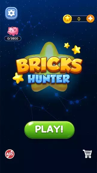 Bricks Hunter : Cube Puzzle Скриншот 0