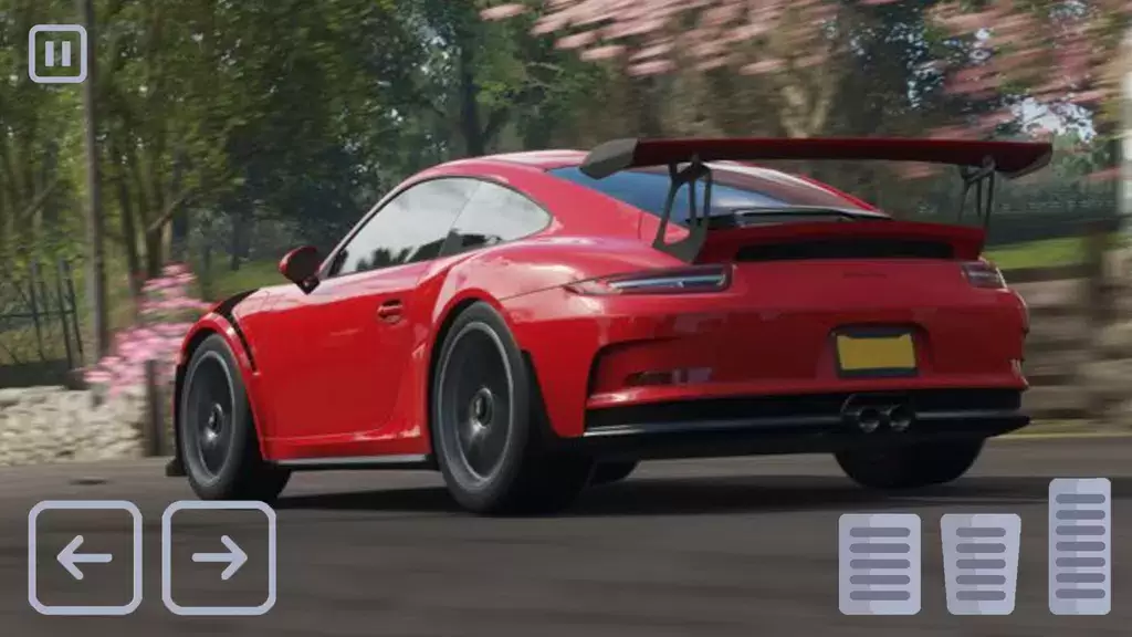 Racing Porsche Carrera 911 GT3 スクリーンショット 3