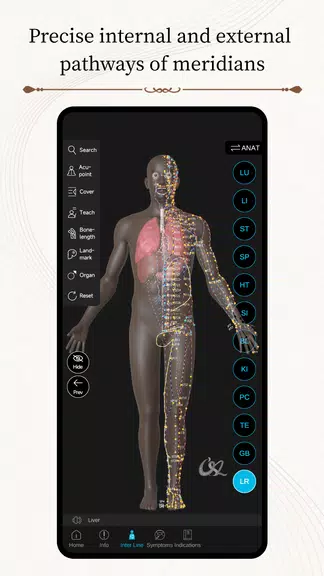 Acupuncture Master Screenshot 1