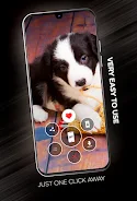 Puppies Wallpapers in 4K Captura de pantalla 1