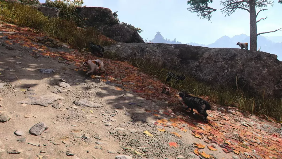 Ang mga anino ng Cat Island Assassin's Creed
