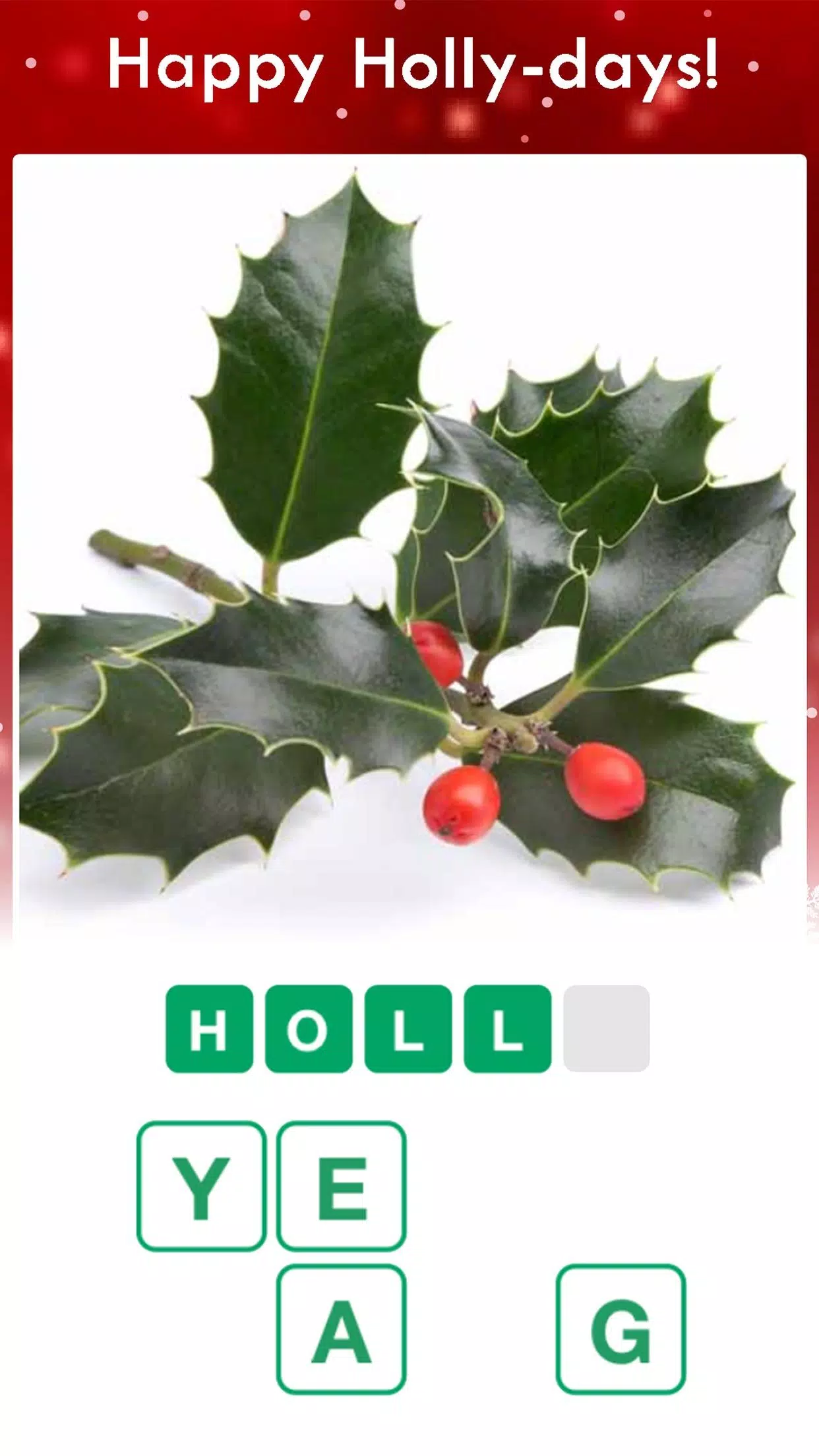 Christmas Pics Quiz Game應用截圖第2張