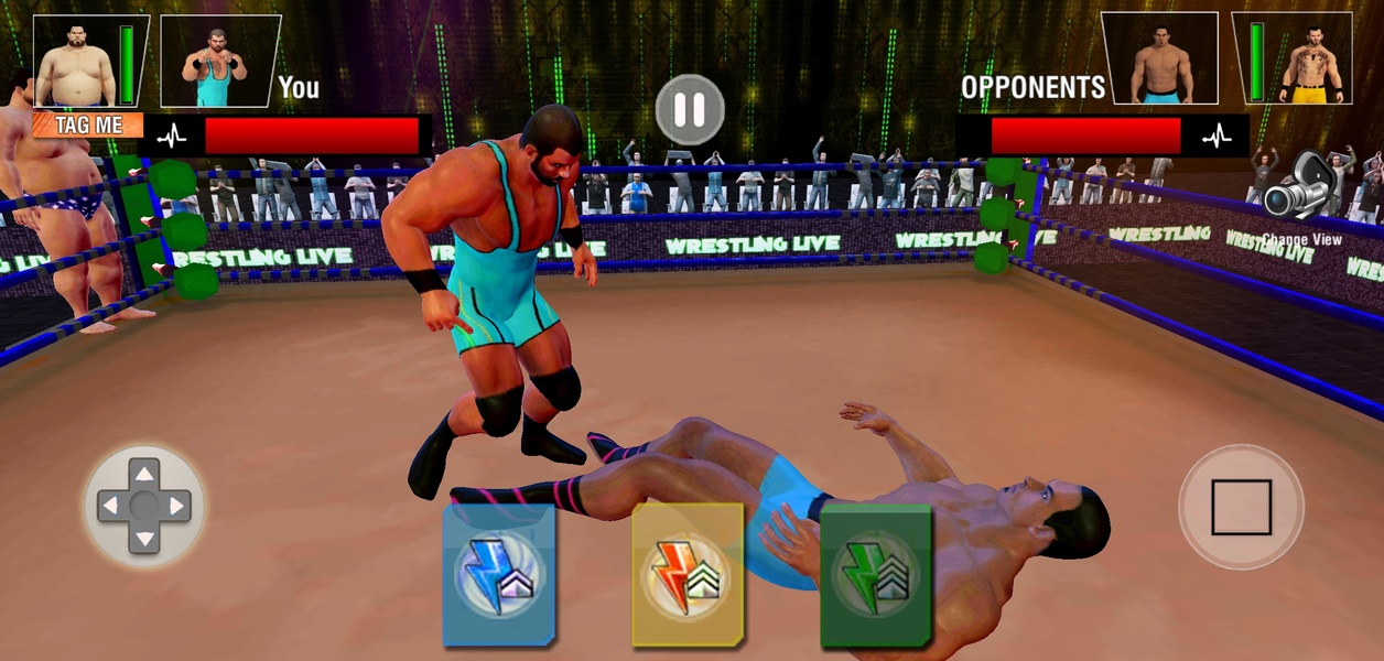 Tag Team Wrestling Game Скриншот 1