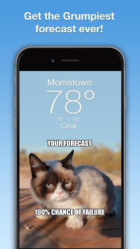 Grumpy Cat Weather スクリーンショット 0