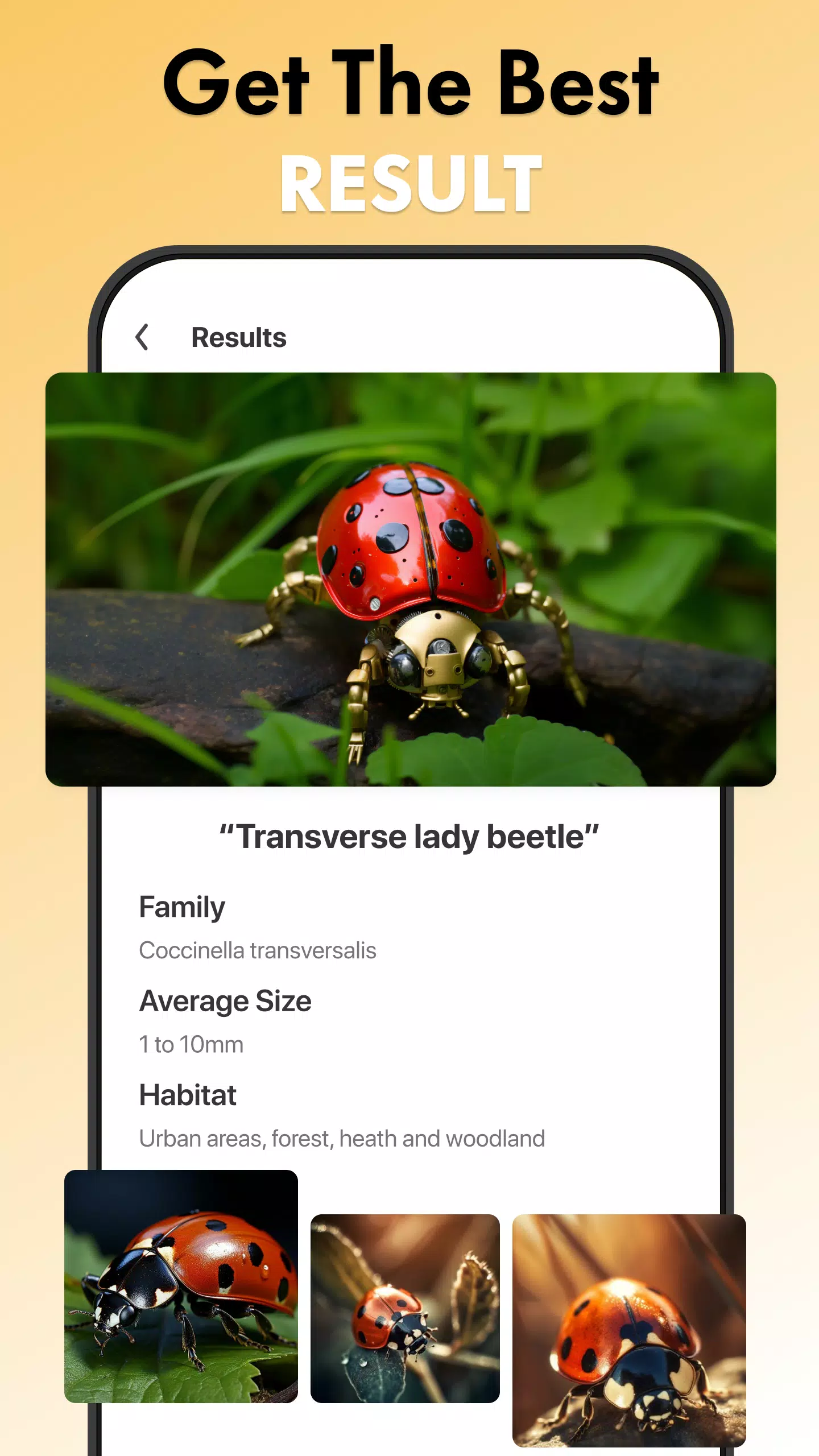 Insect Identifier Bug Identify 스크린샷 2