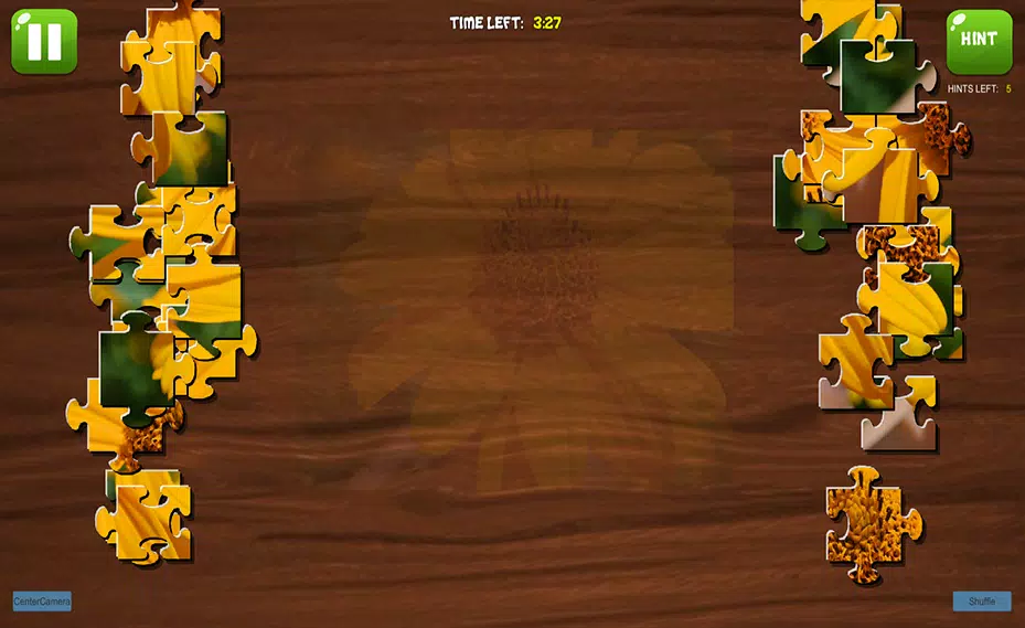 Complete the Canvas Puzzle Tangkapan skrin 2