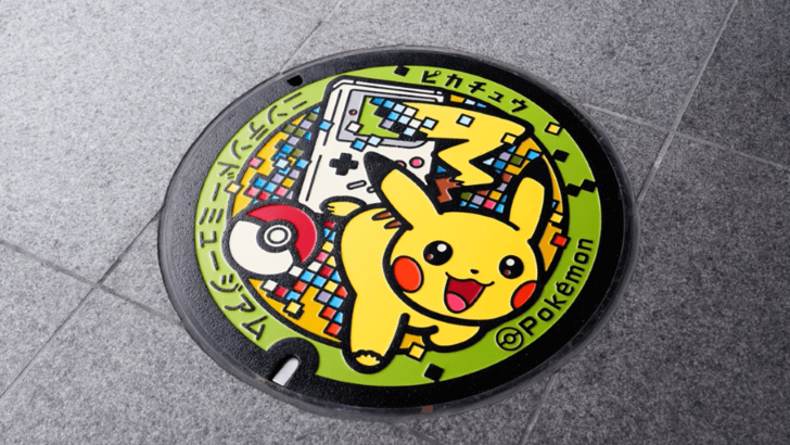 More Examples of Diverse Poké Lid Designs