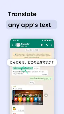 Instant Translate On Screen スクリーンショット 1