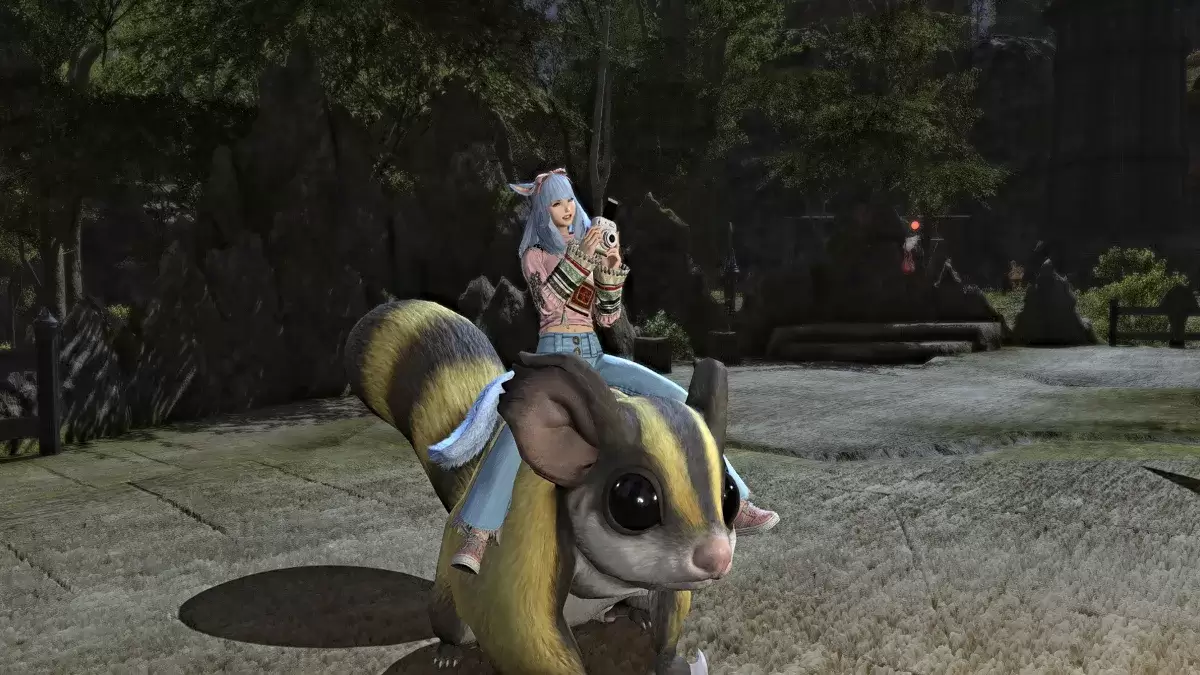 在ffxiv的坐騎上拍照
